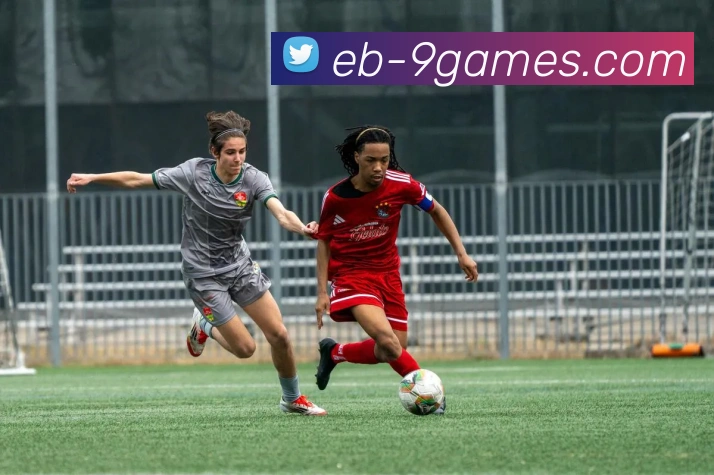 9九游会官网APP 封面图